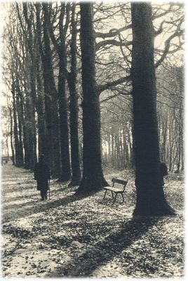 Klik voor de volgende foto