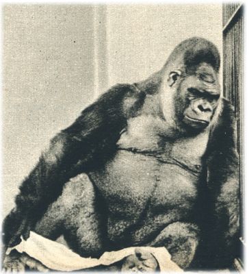 Klik voor de volgende foto
