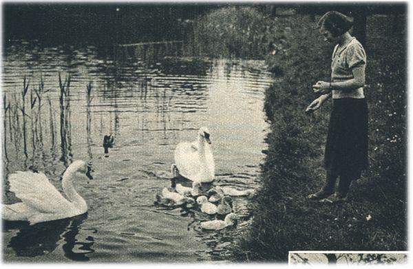 Klik voor de volgende foto