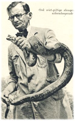 Klik voor de volgende foto