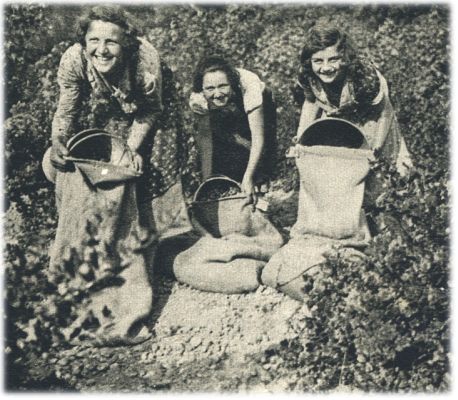 Klik voor de volgende foto