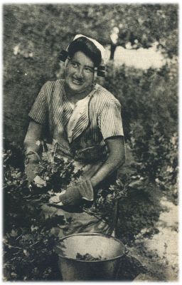 Klik voor de volgende foto