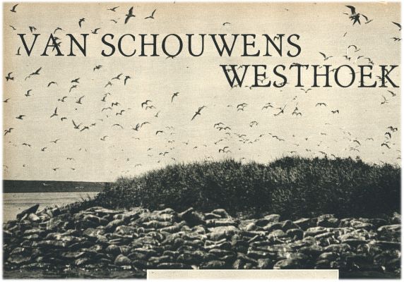 Klik voor de volgende foto