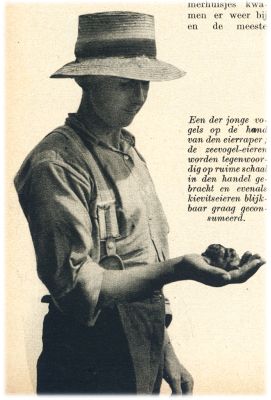 Klik voor de volgende foto