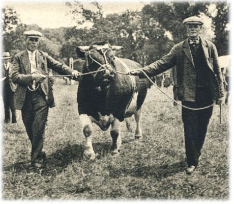 Klik voor de volgende foto