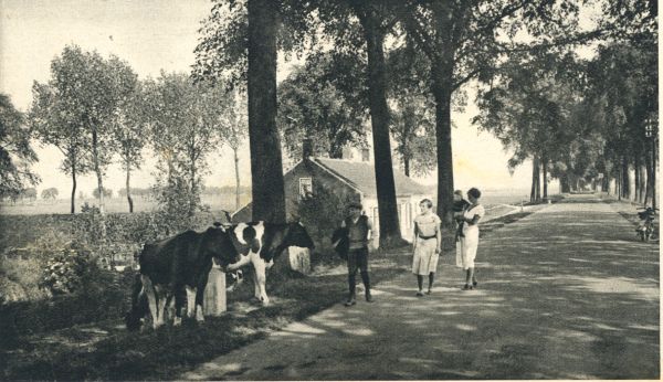 Klik voor de volgende foto