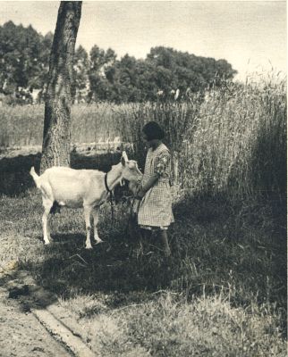 Klik voor de volgende foto