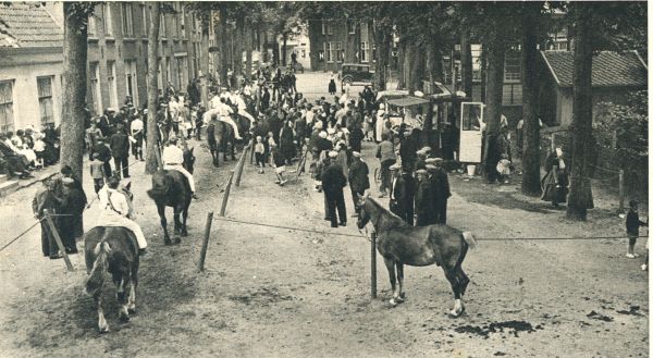 Klik voor de volgende foto