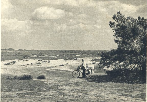 Klik voor de volgende foto