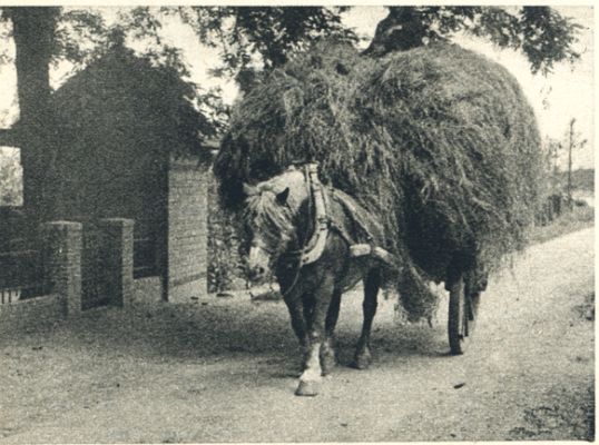 Klik voor de volgende foto