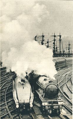 Klik voor de volgende foto