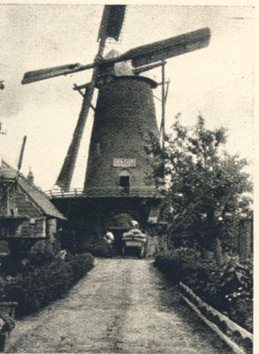 Klik voor de volgende foto