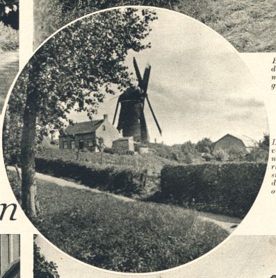 Klik voor de volgende foto