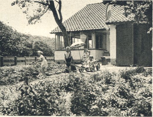 Klik voor de volgende foto