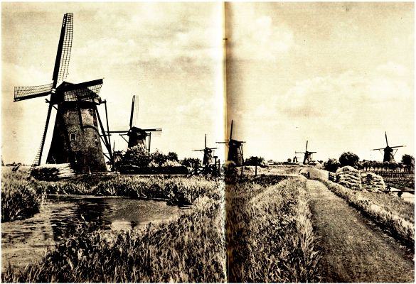Klik voor de volgende foto