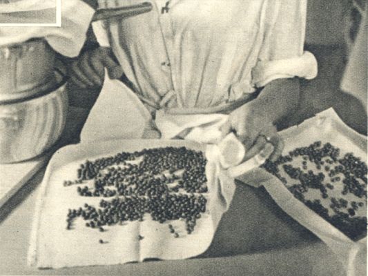 Klik voor de volgende foto