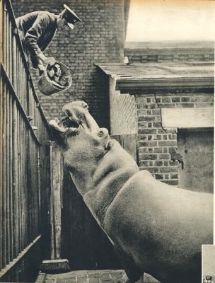 Klik voor de volgende foto