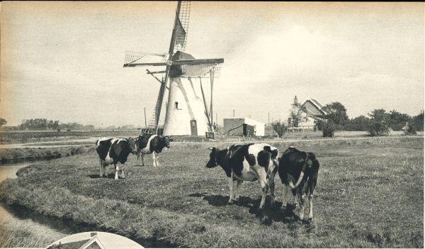 Klik voor de volgende foto