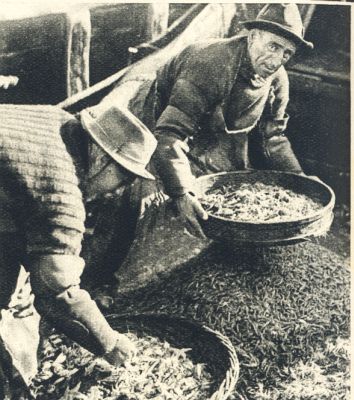 Klik voor de volgende foto