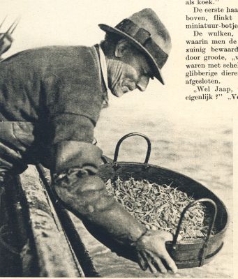 Klik voor de volgende foto