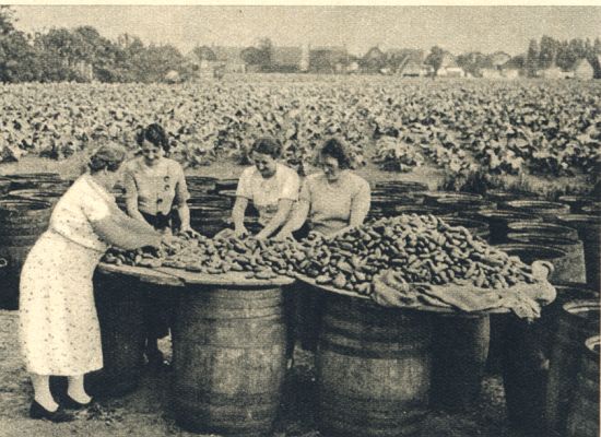 Klik voor de volgende foto