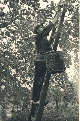 Klik voor de volgende foto
