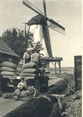 Klik voor de volgende foto