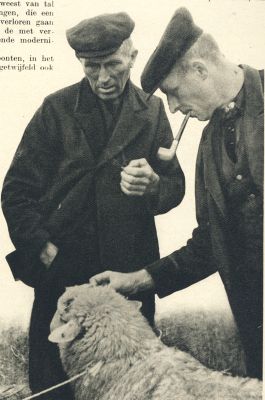 Klik voor de volgende foto
