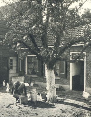 Klik voor de volgende foto