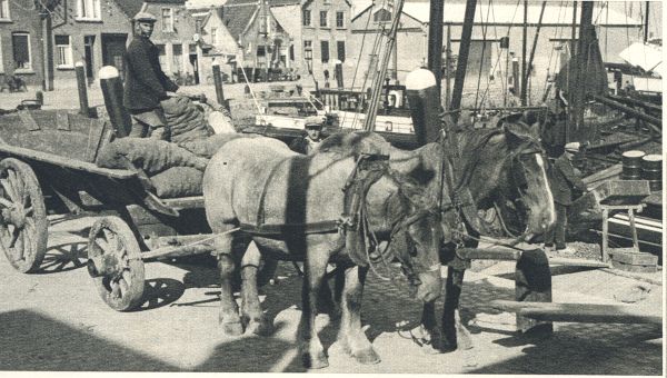 Klik voor de volgende foto