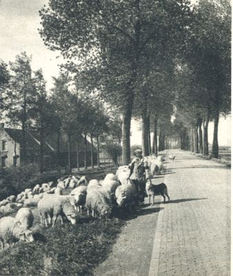 Klik voor de volgende foto