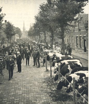 Klik voor de volgende foto