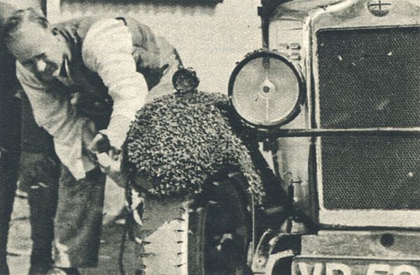 Klik voor de volgende foto