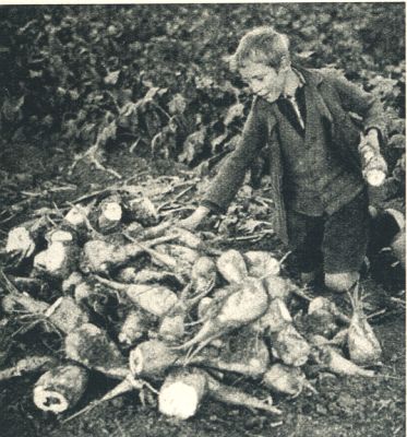 Klik voor de volgende foto