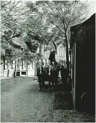 Klik voor de volgende foto
