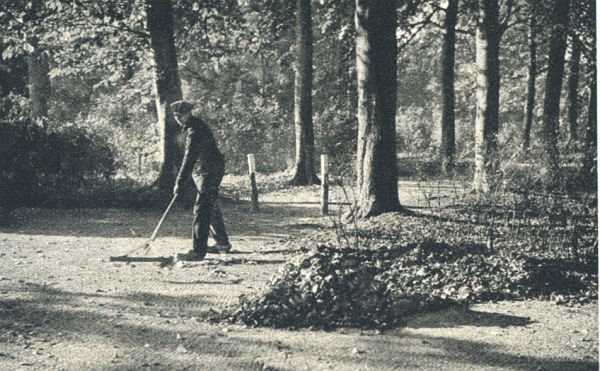 Klik voor de volgende foto