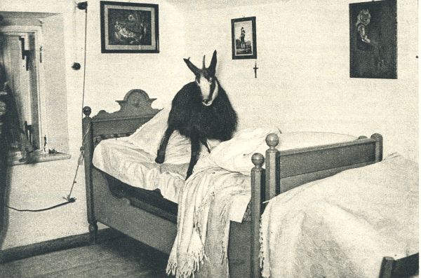 Klik voor de volgende foto