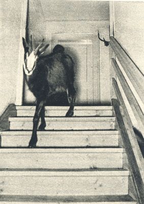 Klik voor de volgende foto