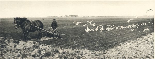 Klik voor de volgende foto