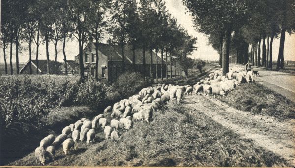 Klik voor de volgende foto