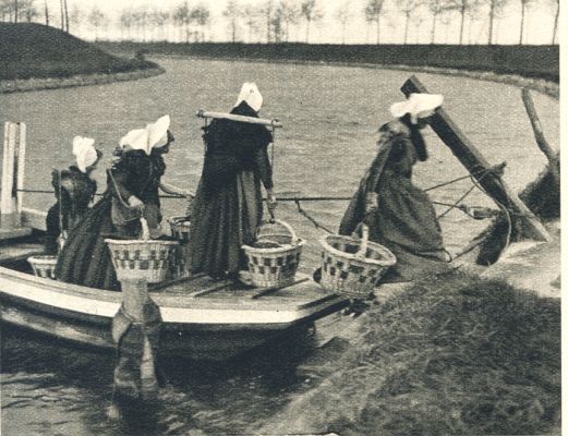 Klik voor de volgende foto
