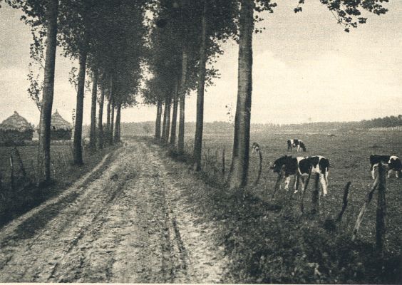 Klik voor de volgende foto