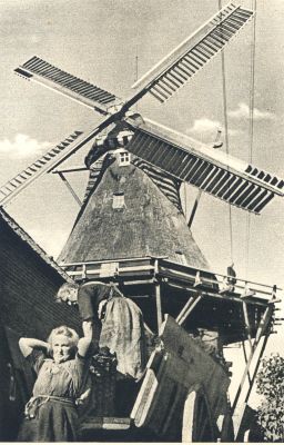 Klik voor de volgende foto