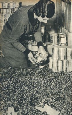 Klik voor de volgende foto
