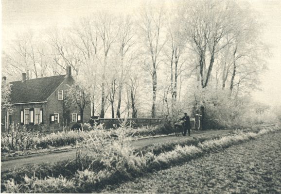 Klik voor de volgende foto