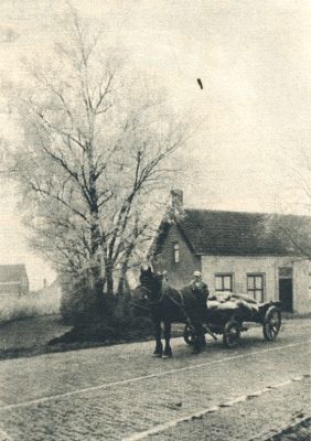 Klik voor de volgende foto