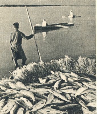 Klik voor de volgende foto