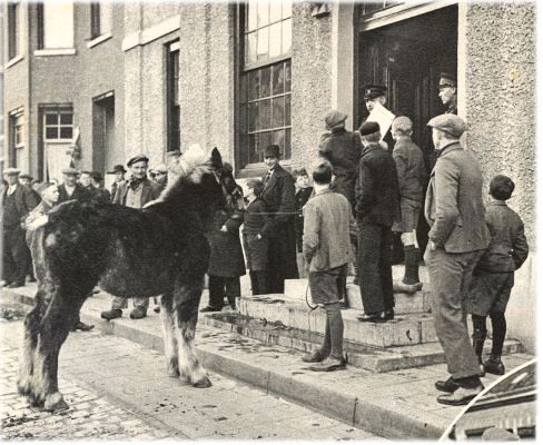 Klik voor de volgende foto