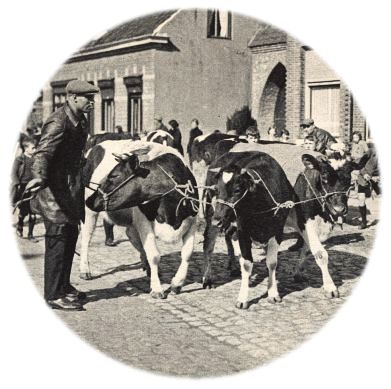 Klik voor de volgende foto