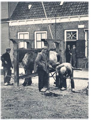 Klik voor de volgende foto